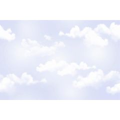 MARINACE SKY