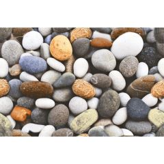 MARINACE STONE