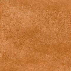 PARAGON BROWN FL