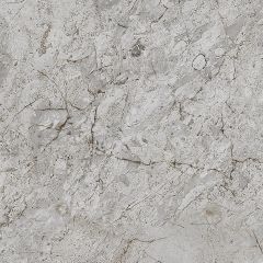 SARDES DARK FL