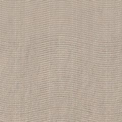 adenid brown fl