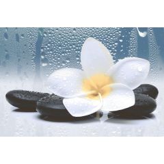 arctic flower decor