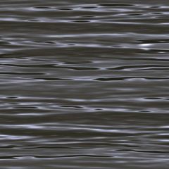 GANGES BLACK FL