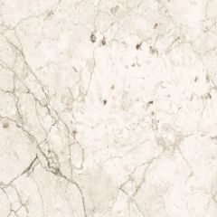 Juniper Beige