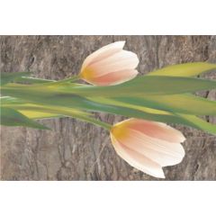 JUPITO TULIP DECOR (2)