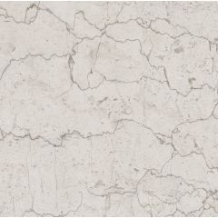 LAVISH GREY ANT FL