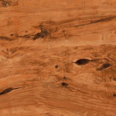 MATURE WOOD BROWN
