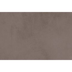 OYSTER BROWN