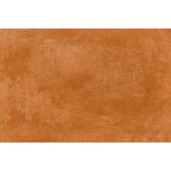 PARAGON BROWN