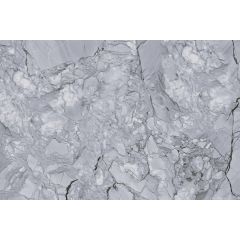SHELL GREY