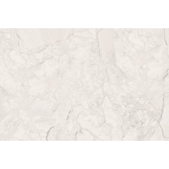 SHELL WHITE