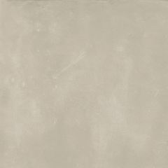 Shiloh Grey