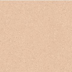 TINIA BROWN ANT FL