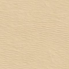 VINTAGE  SAND FL