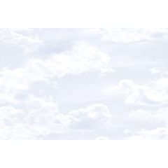 VINTAGE SKY